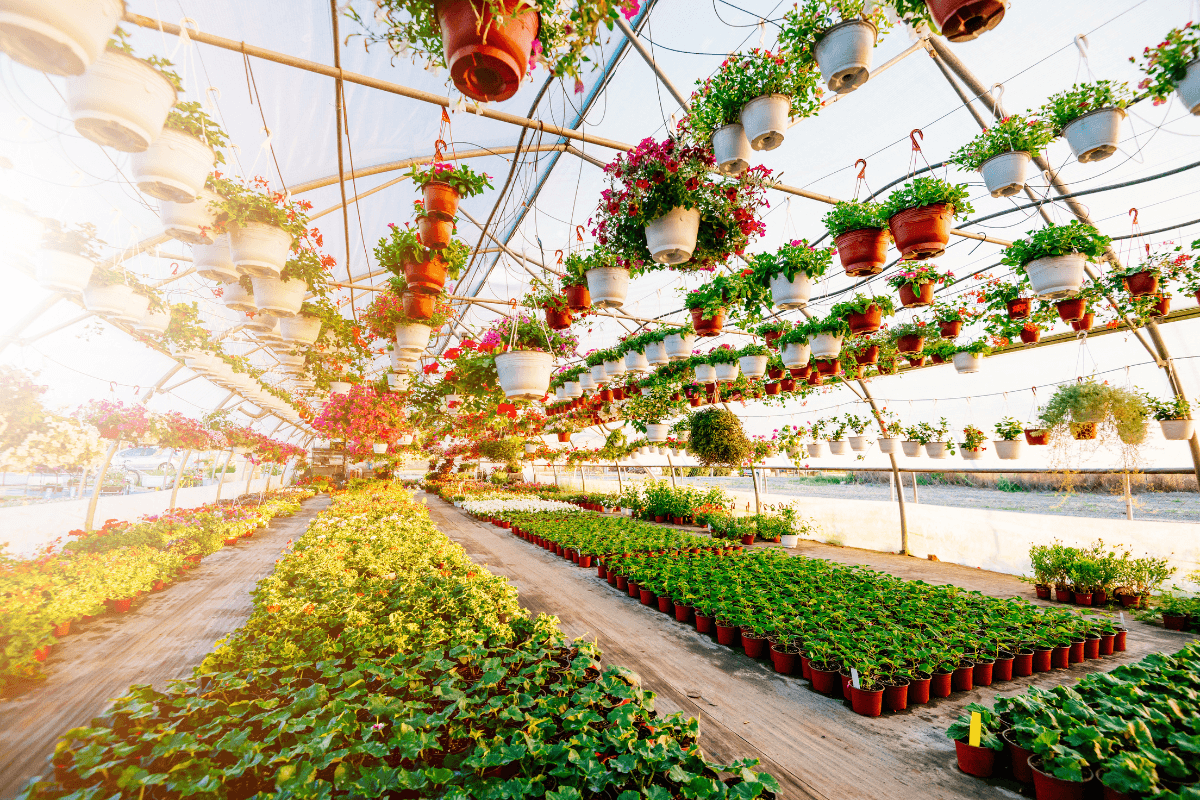 Get the Most from Your Weed Killers with Breeze XL 