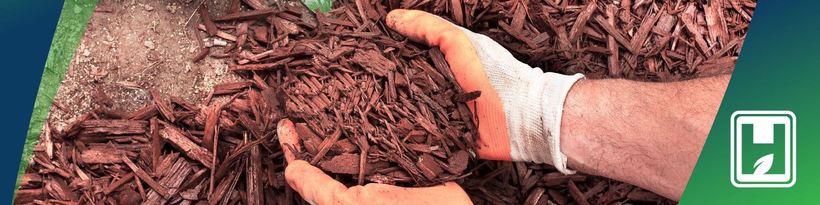 The Magic of Mulch: A Guide to a Lush Landscape