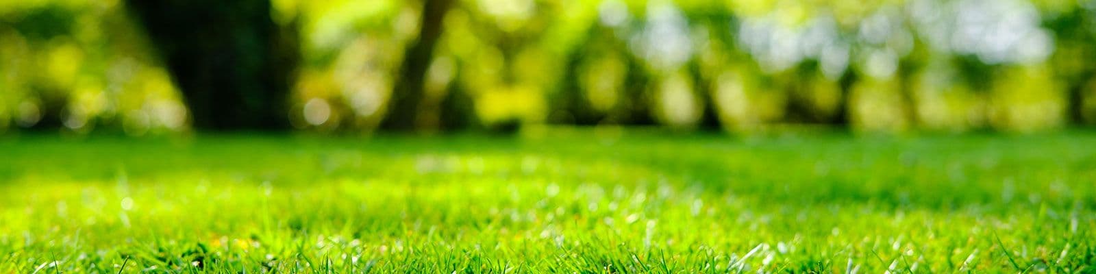 The Differences Between Phosphates and Phosphites