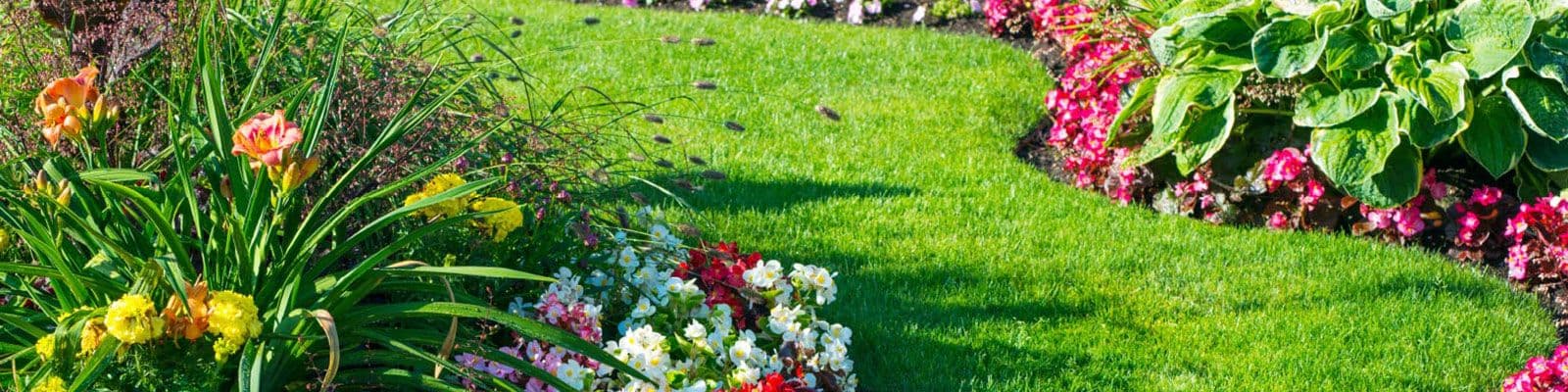 Blooming Green, Growing Dreams: Embrace the Springtime Scene