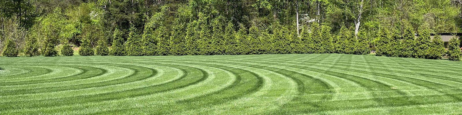 Dare to Compare: Turf Tech Tool
