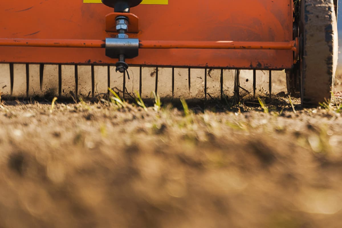 Renovation Season: Getting Turfgrass Choices Just Right