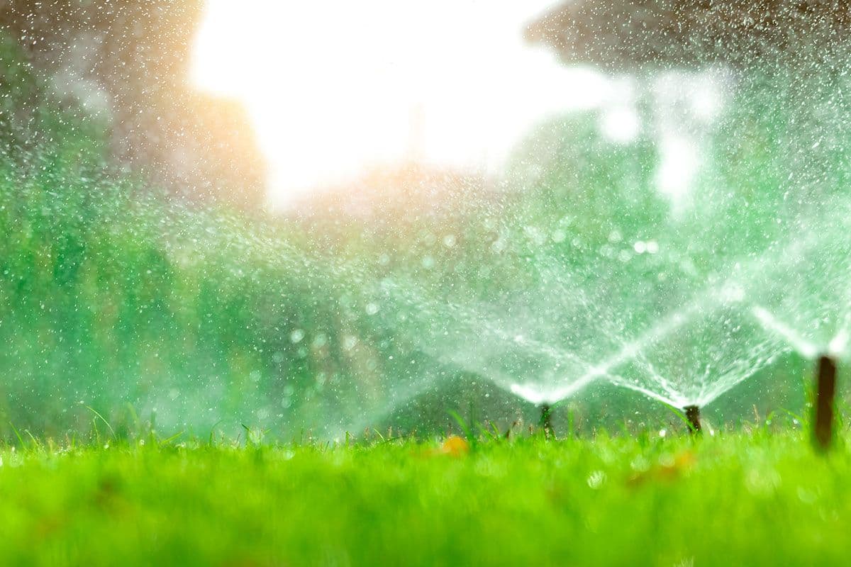 Smart Watering Practices: Efficiency and Sustainability in Your Landscape