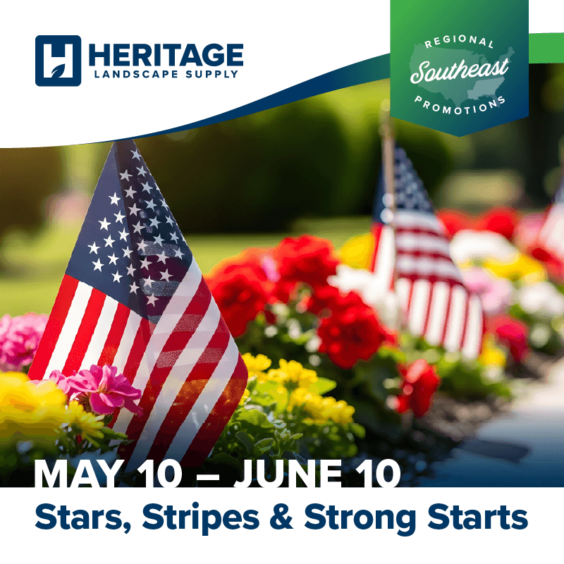 Stars, Stripes, and Strong Starts