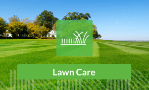 Lawn Care