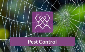 Pest Control