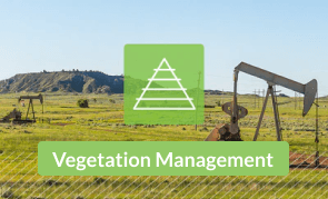Vegetation Management