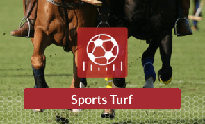 Sports Turf