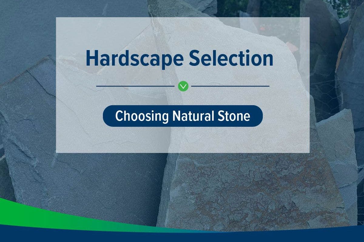 Natural Stone vs. Concrete: Key Differences for Landscape Paving