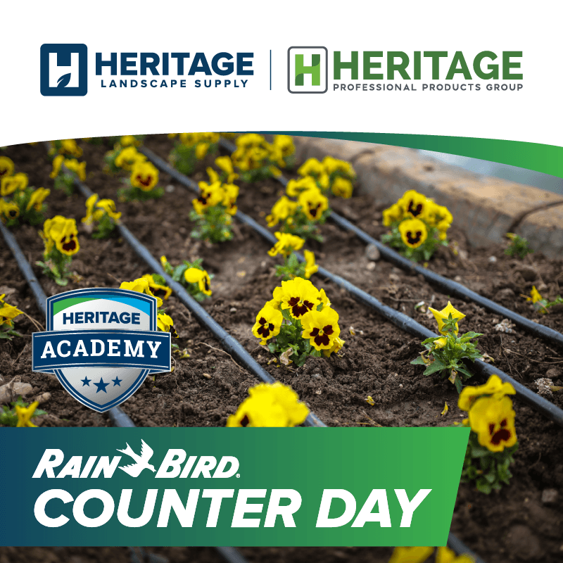 HLS Concord Rain Bird Counter Day