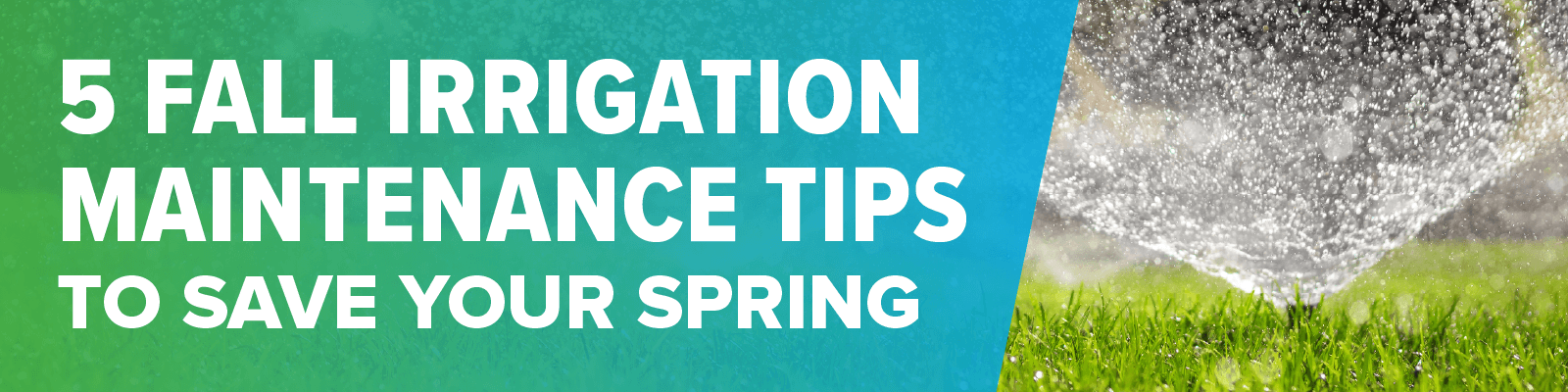5 Fall Irrigation Maintenance Tips to Save Your Spring