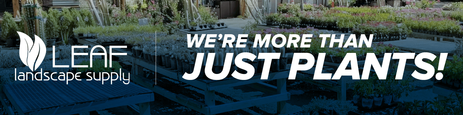 From Start to Finish: Your Complete Outdoor Solution in Texas Hill Country