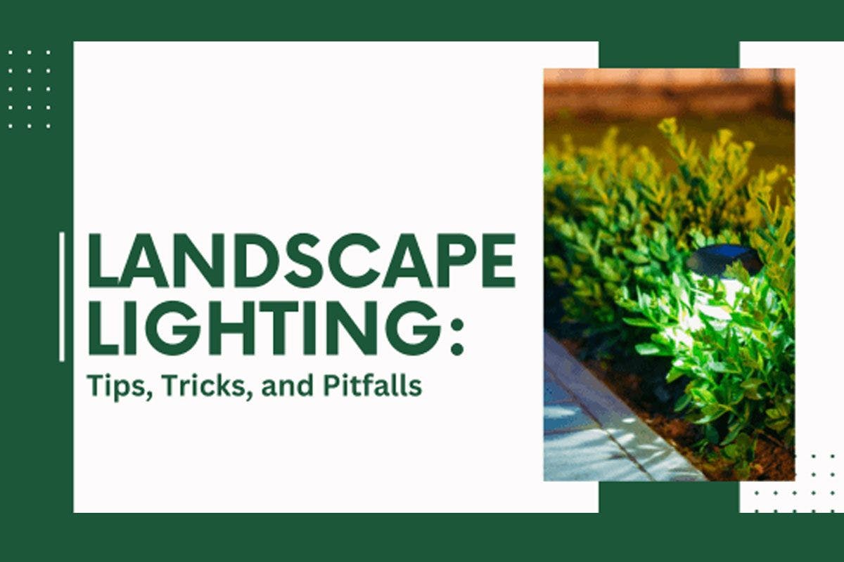Landscape Lighting: Tips, Tricks, and Pitfalls